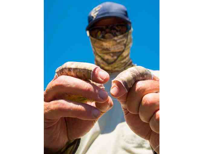 BUFF USA Sleeves and Stripping Guards