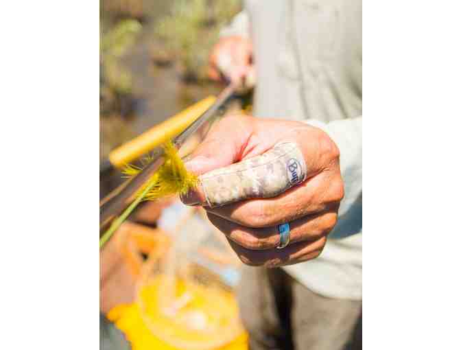 BUFF USA Sleeves and Stripping Guards