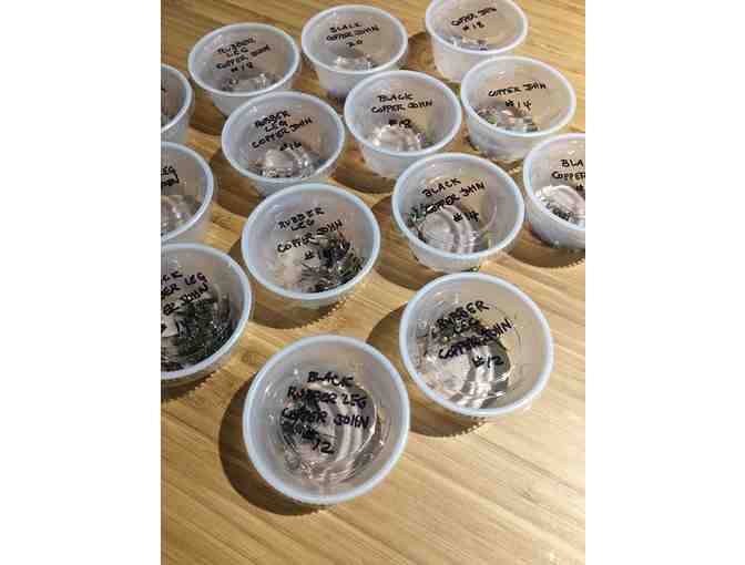 Copper John Jamboree!