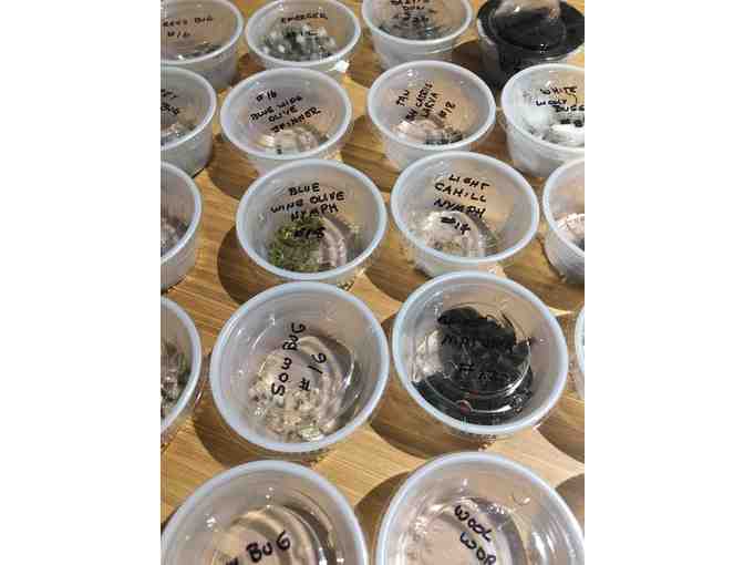 Winning Collection of Flies