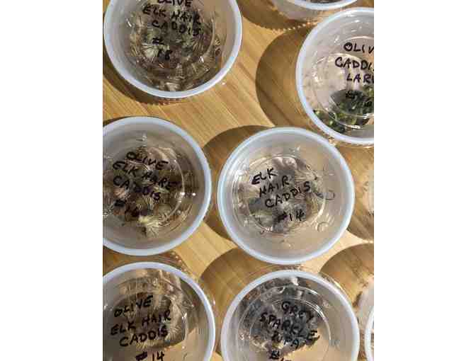 Caddisflies for Days