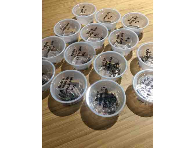 Copper John Jamboree!