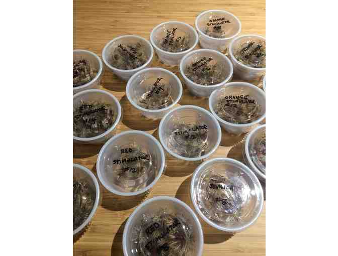 Hundreds of Stimulators!