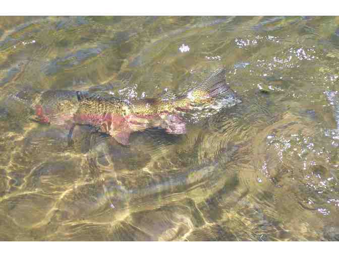 Full Day Guided Fly Fishing Trip for Two in Northern California on the Lower Yuba River