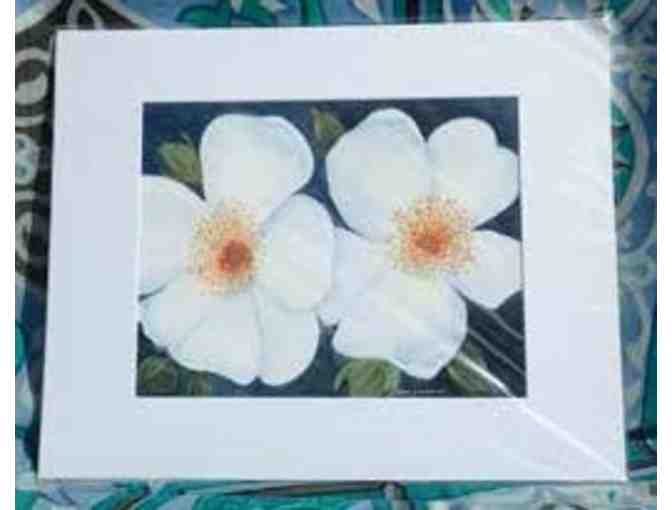 Botanical Prints by Beth Johnson