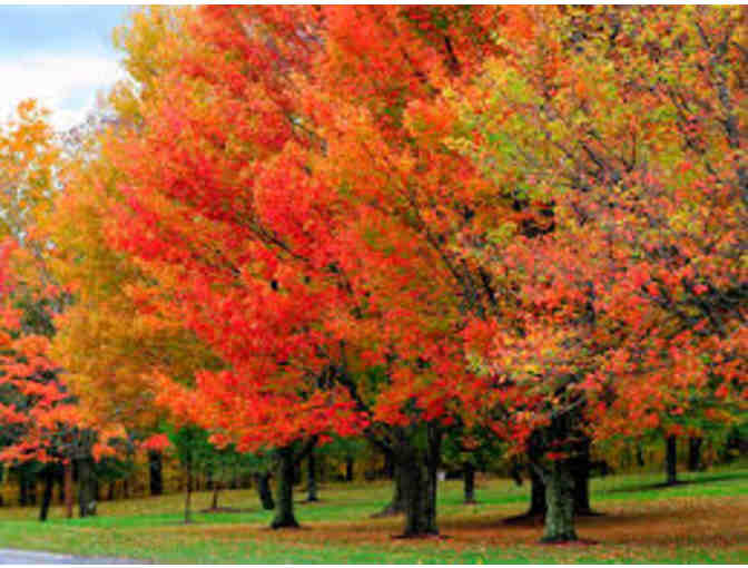 2018 Fall Foliage Weekend in Manchester, Vermont