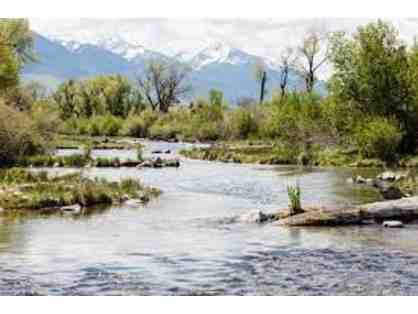Two Rod Fees on the Infamous Nelson's Spring Creek in Livingston, MT