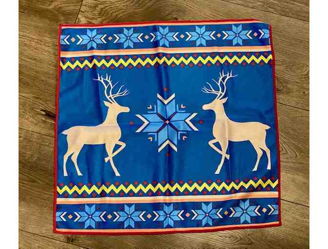 Norwex Set - Clean with water!