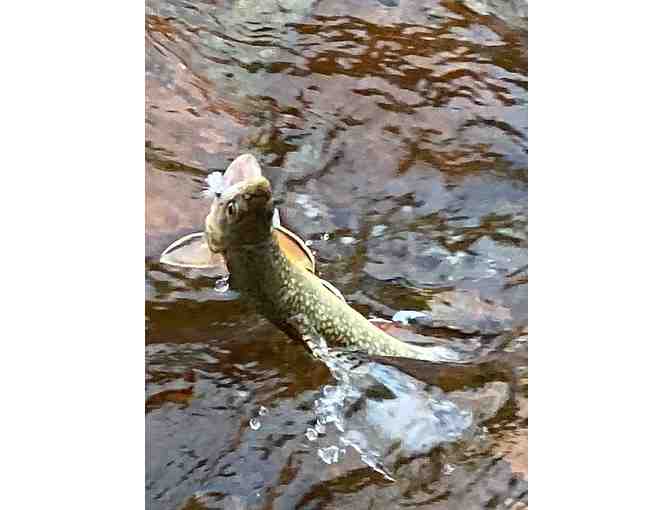 Full Day Fly Fishing Trip for Two in the Rocky Mountain Park with Sasquatch Fly Fishing