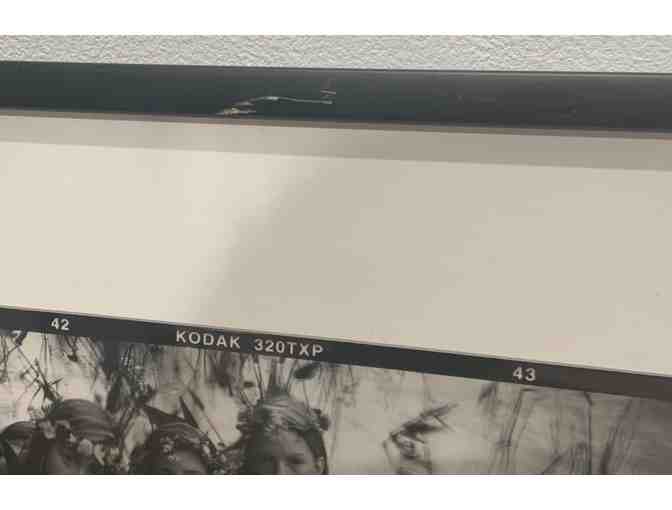 'Polywogs' - Photograph by Jenks Studio