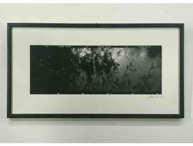 'Polywogs' - Photograph by Jenks Studio