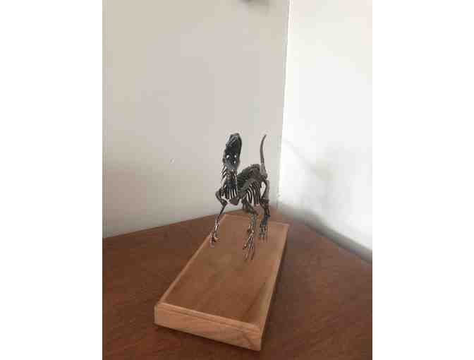 Dinosaur by Nelson Maniscalco