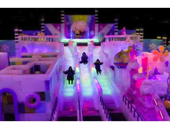 Family Time at Moody Gardens