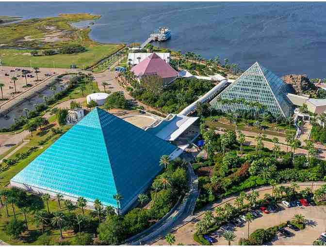 Family Time at Moody Gardens