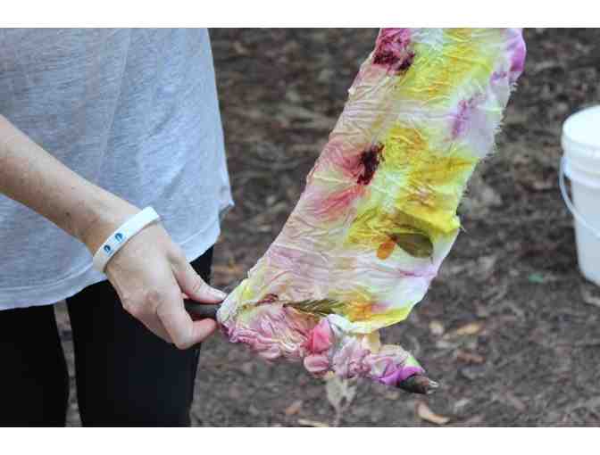 Natural Dye and Shibori Workshop in Topanga