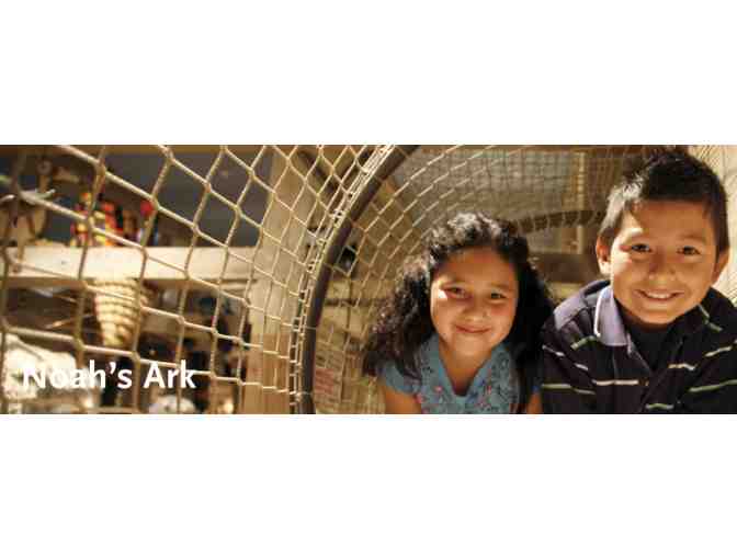 Summer Fun: Discovery Bundle