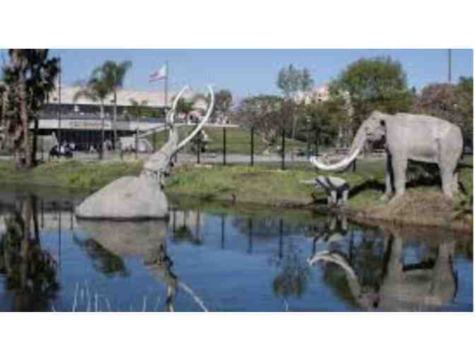 Summer Fun: Discovery Bundle