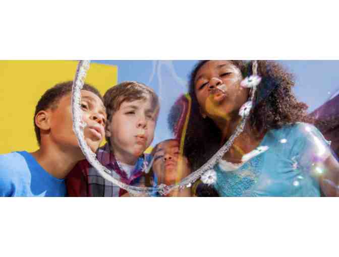 Summer Fun: Discovery Bundle