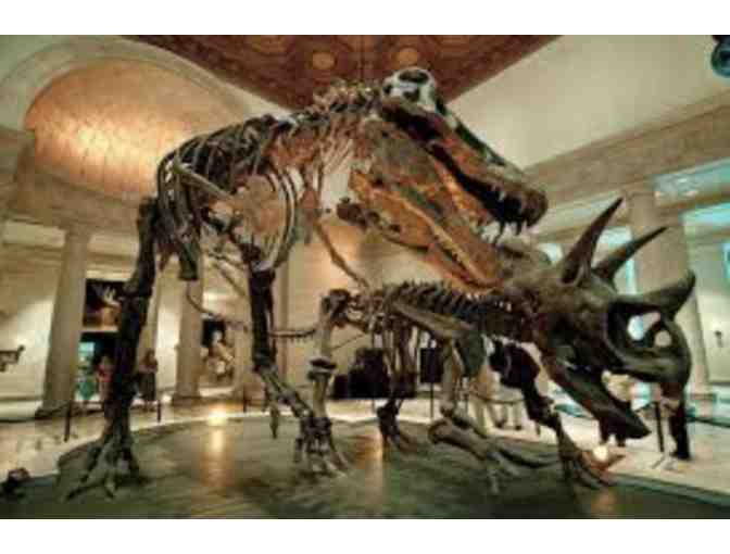 Summer Fun: Discovery Bundle