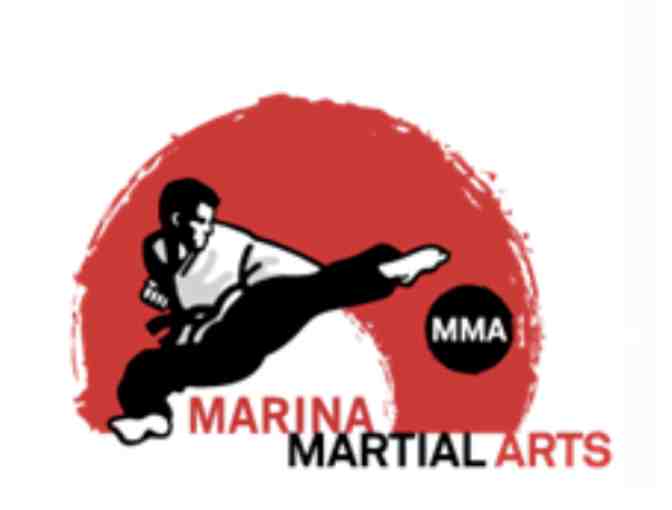 Martial Arts Classes - 4 weeks