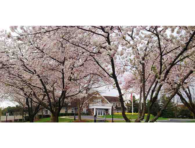 One Round of Golf for Four at Cherry Valley Country Club