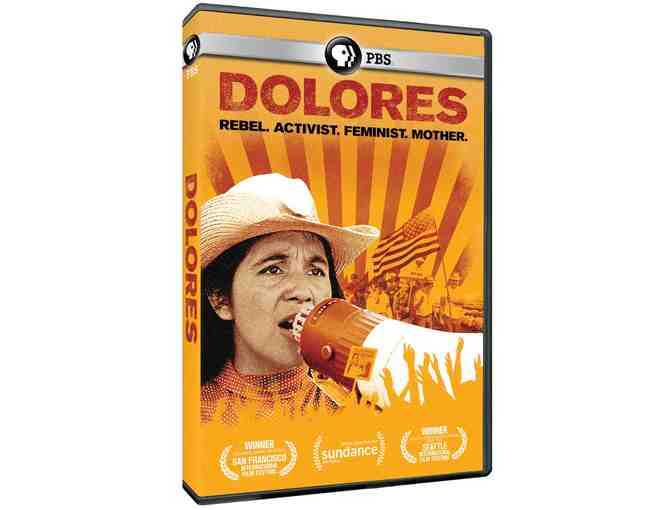 PBS DVD Documentary Collection