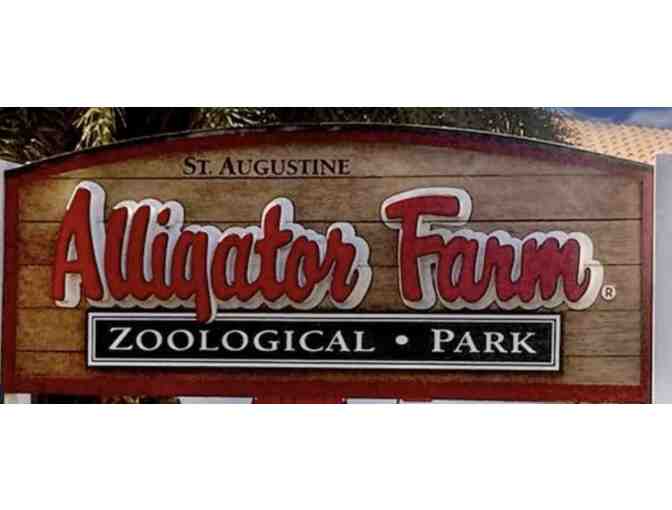 St. Augustine fun for four!