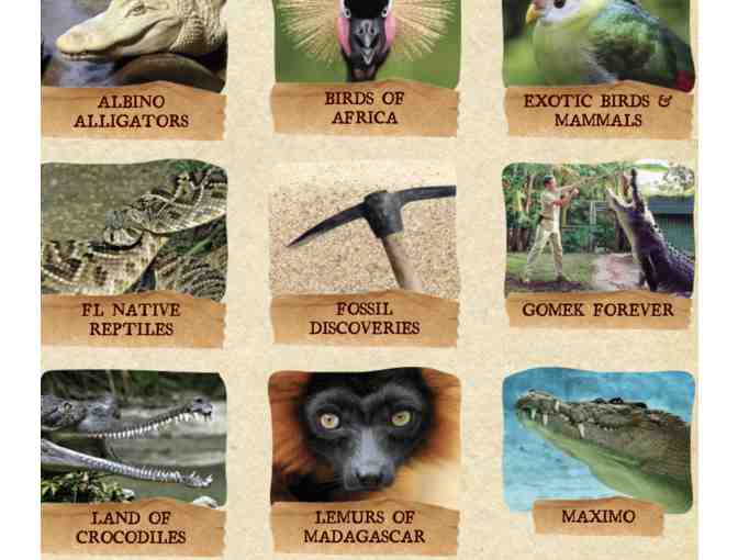 St. Augustine fun for four!