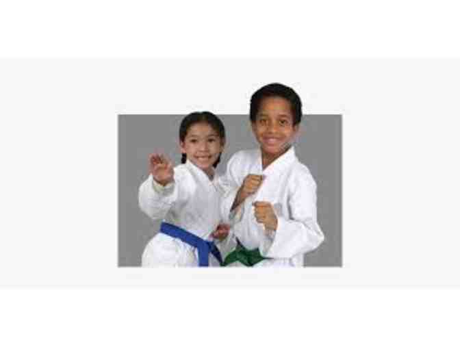Bike riding lessons and Taekwondo classes