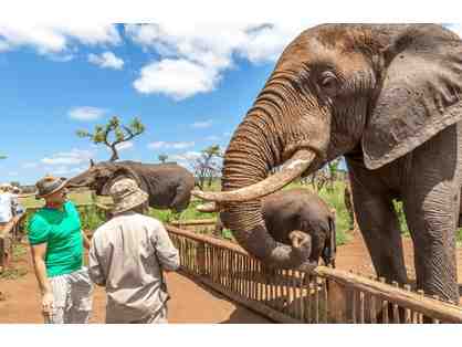 Zulu Nyala Game Reserve: Experience The Magic of Africa!