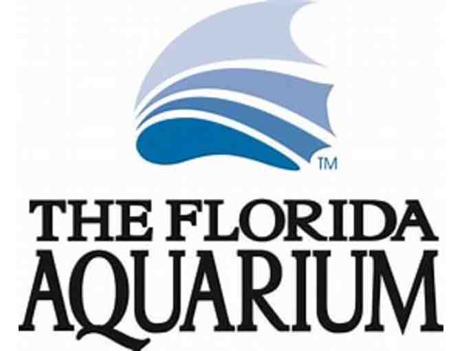 MOSI! The Florida Aquarium! First Watch Restaurant! Fun Fun Fun Day!