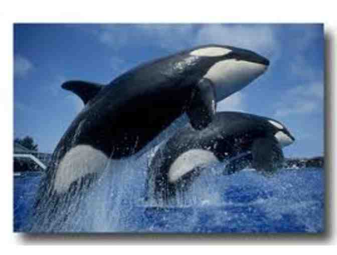 SeaWorld San Diego - Four Single-Day Admission Tickets