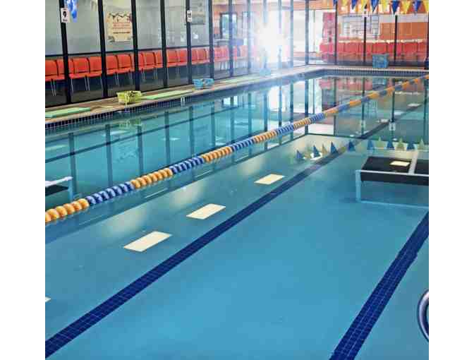 Water Wings Swim School- 4 Group Lessons