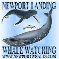 Newport Landing Whale Watching