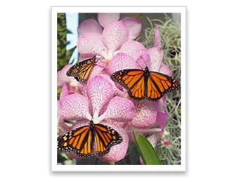 Daniel Stowe Botanical Garden - 4 day time passes