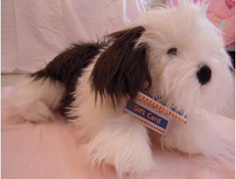 Birthday Party Package