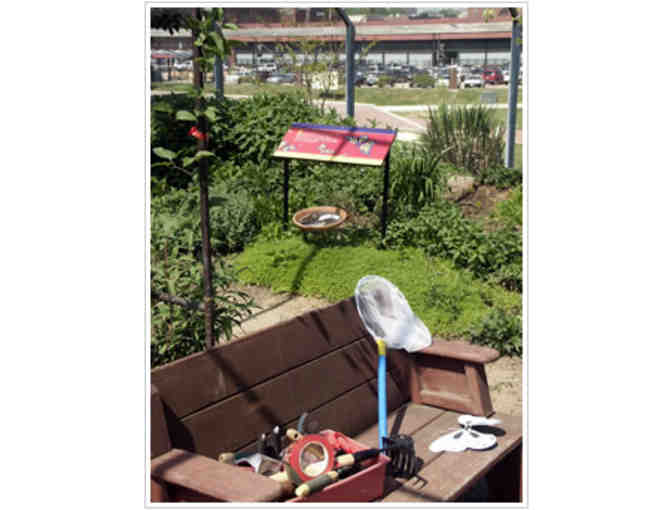 5 Passes for DIGITAL DOME and EXHIBITS at the Danville Science Center