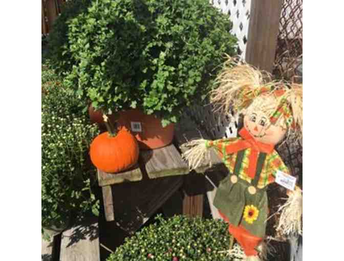 Family Photography Session