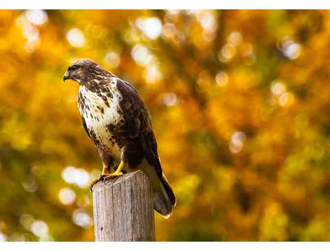 Small Private Education Animal Encounter at Roger Williams Park Zoo