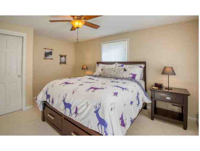 Escape to the White Mountains!