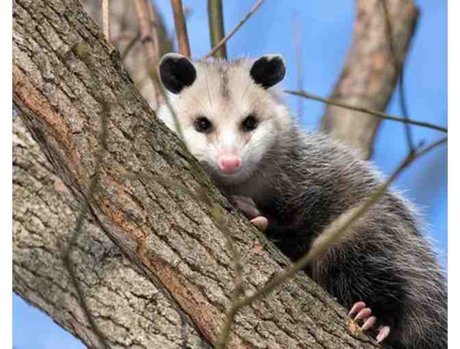 Small Private Education Animal Encounter at Roger Williams Park Zoo