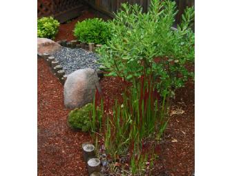 YOUR PERFECT GARDEN: A landscape consultation