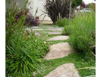 YOUR PERFECT GARDEN: A landscape consultation