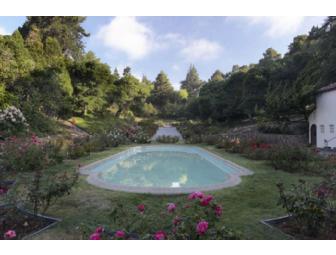 YOUR PERFECT GARDEN: A landscape consultation