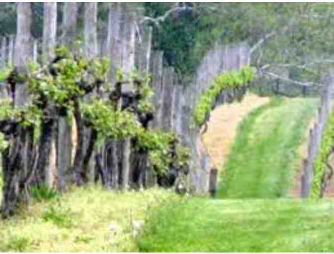 Ingleside Vineyards - Six (6) people private tour - Oak Grove, Virginia