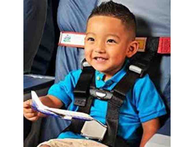 'Don't Fence Me In' Package - Toddler Gate and CARES Airplane Safety Harness- $145