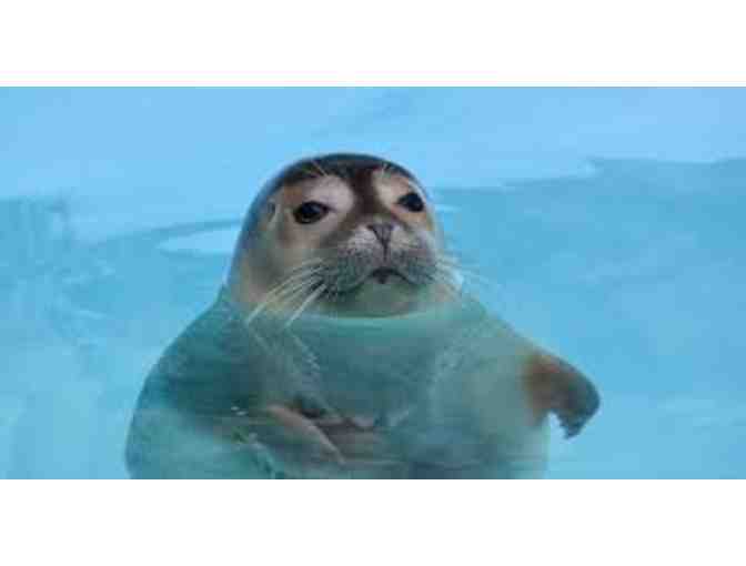 Virginia Aquarium & Marine Science Center - Four (4) Complimentary Admission Tix - $100