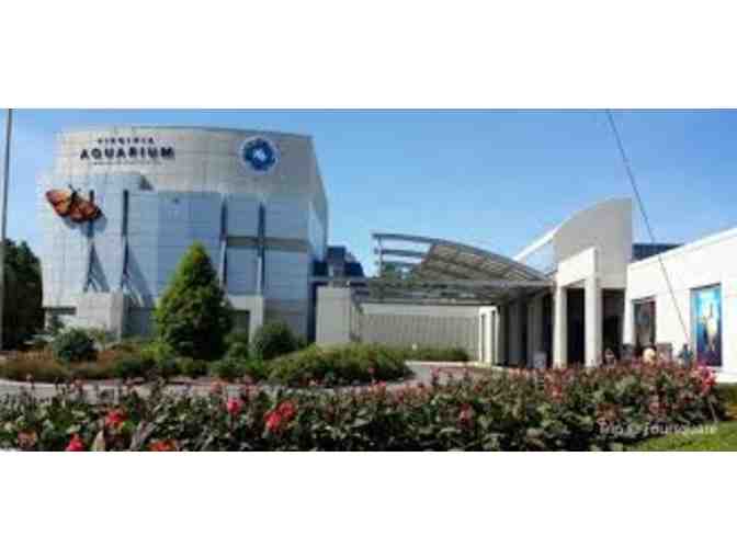 Virginia Aquarium & Marine Science Center - Four (4) Complimentary Admission Tix - $100