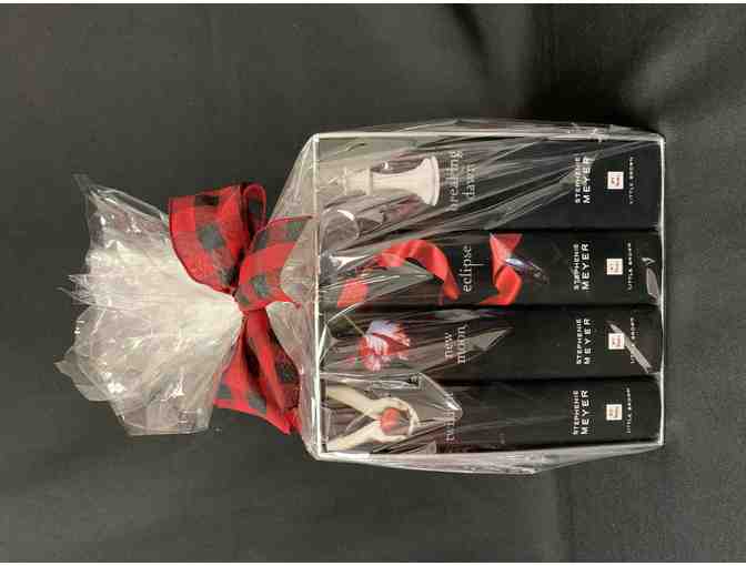 Twilight Book Series