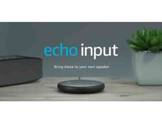 Echo Input